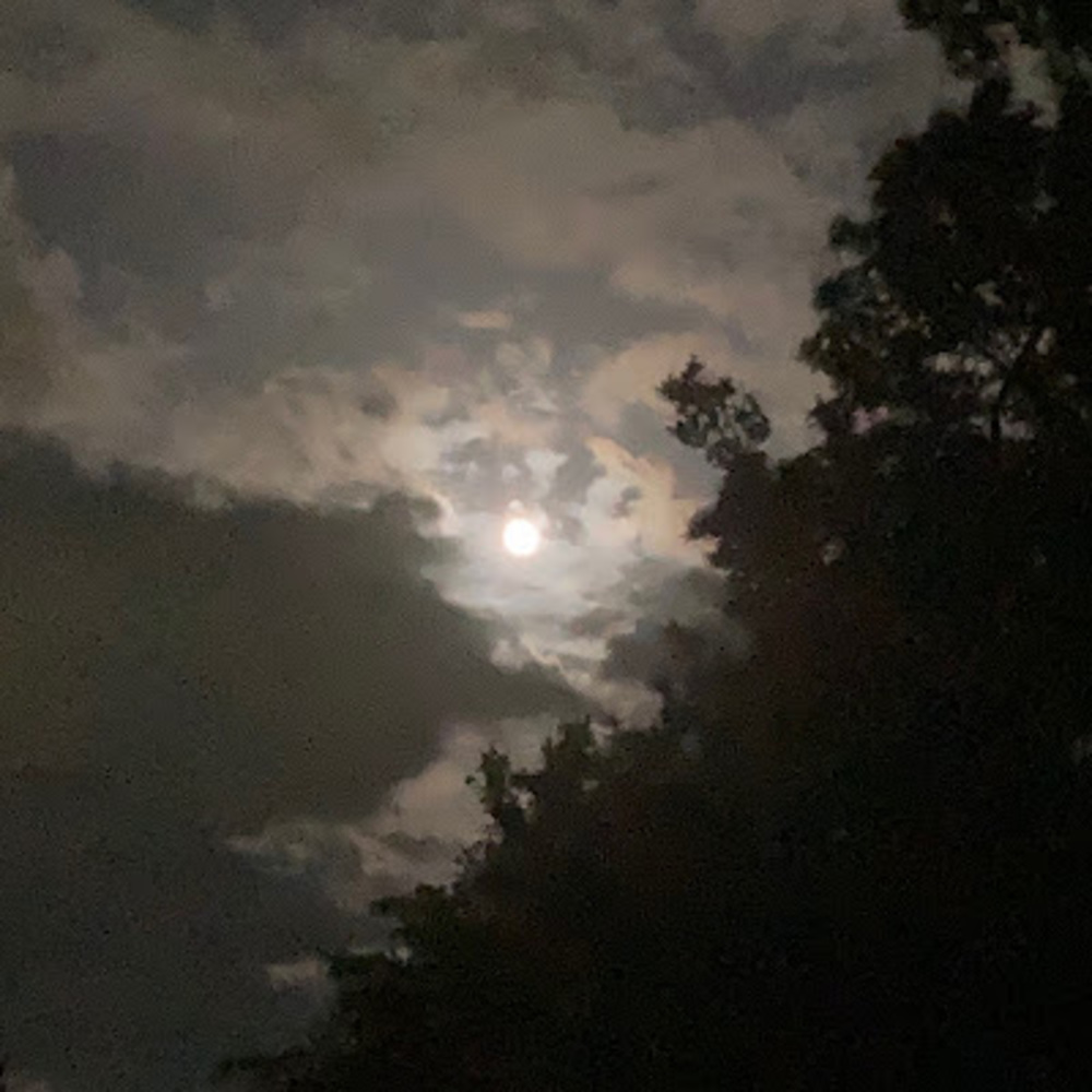 Meet your Posher, Corrine